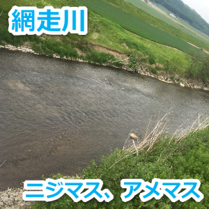 網走川のニジマス アメマス釣り 流域による解説 8月10日釣行記 北海道道東angler
