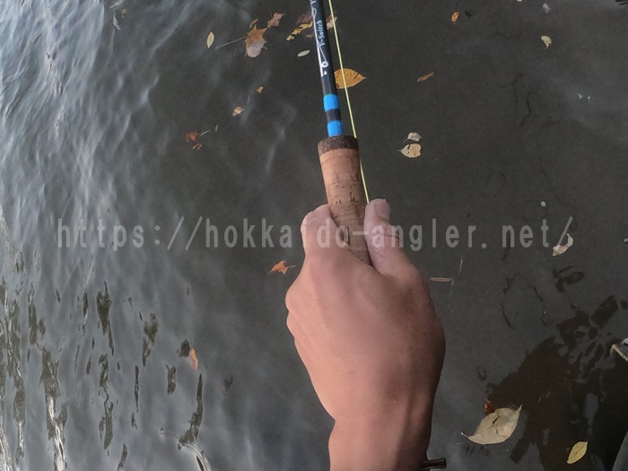 釣り ロッド、釣り竿 Maxcatchの格安スイッチロッドは結局ダブルハンドでは使ってないです 
